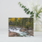 Yaak fällt im Herbst im Kootenai-Nationalstaat Postkarte (Stehend Vorderseite)