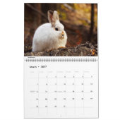 Yaak Land-Kalender 2016 Kalender (Mär 2027)
