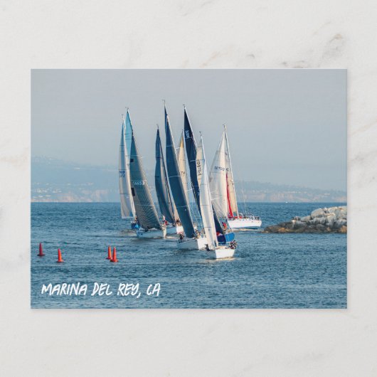 Yacht Race - Marina Del Rey, CA Postkarte (Vorderseite)