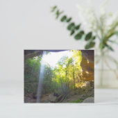 Yahoo Falls, Kentucky Postkarte (Stehend Vorderseite)