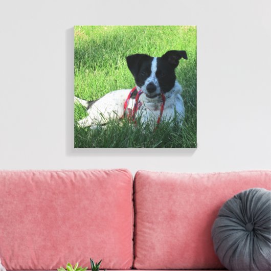 Yahtzee Der Hund mit Leash Canvas Print Leinwanddruck (Insitu (Wohnzimmer))