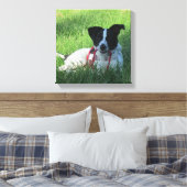 Yahtzee Der Hund mit Leash Canvas Print Leinwanddruck (Insitu (Schlafzimmer))