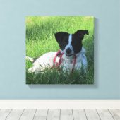 Yahtzee Der Hund mit Leash Canvas Print Leinwanddruck (Insitu (Holzboden))