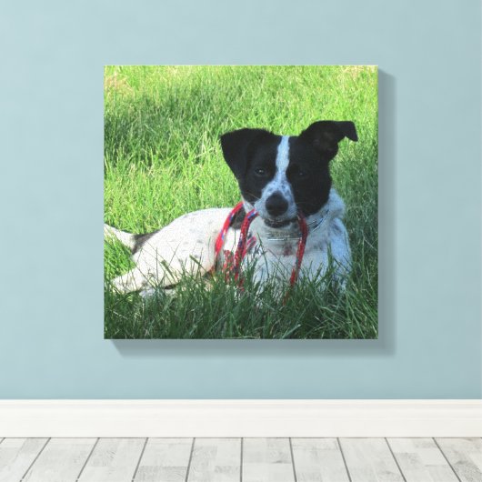 Yahtzee Der Hund mit Leash Canvas Print Leinwanddruck (Insitu (Holzboden))