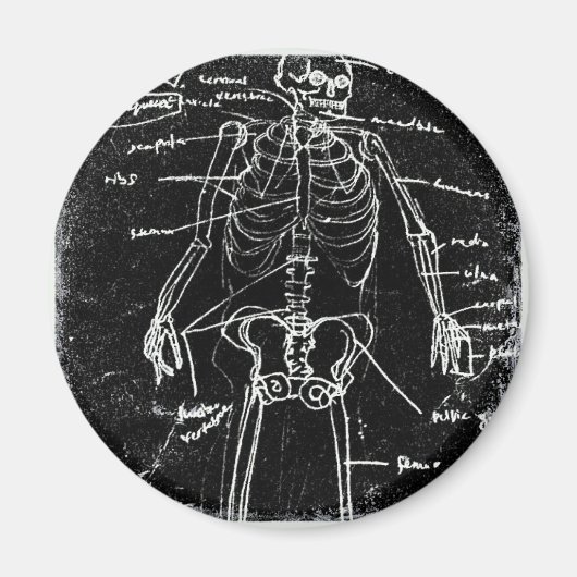 Yaie Tokyo Human Skeleton Anatomy Magnet (Vorne)