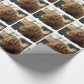 Yak Geschenkpapier (Ecke)