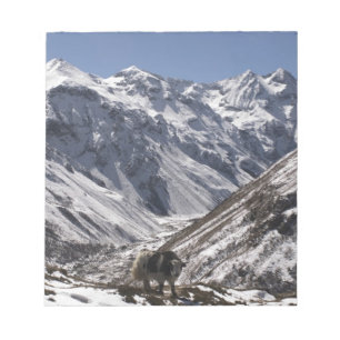 Yak in der Nähe des Berges Jhomolari, Jangothang J Notizblock