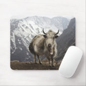Yak in Nepal Mousepad (Mit Mouse)