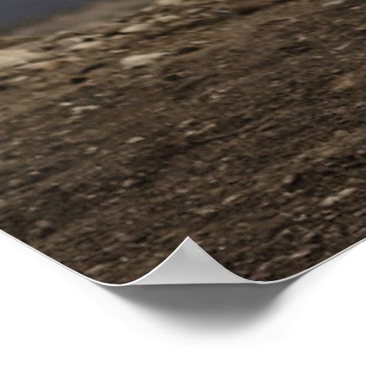 Yak in Nepal Poster (Ecke)