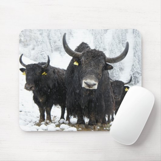 Yak Mousepad (Mit Mouse)