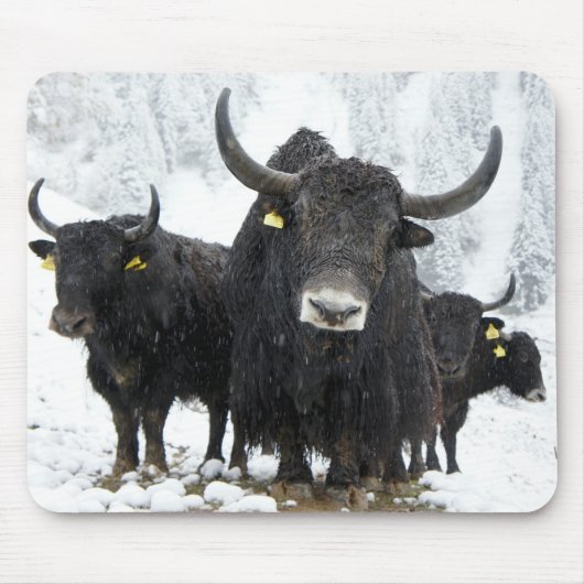 Yak Mousepad (Vorne)