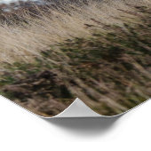 Yak-Plakat Poster (Ecke)