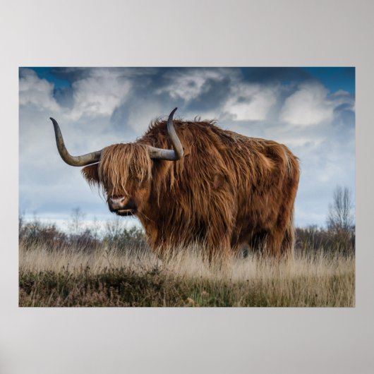Yak-Plakat Poster (Vorne)