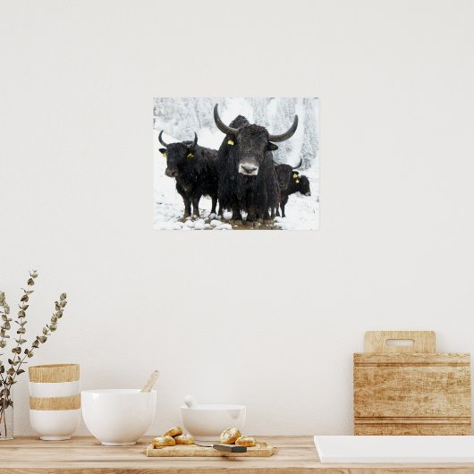 Yak Poster (Küche)