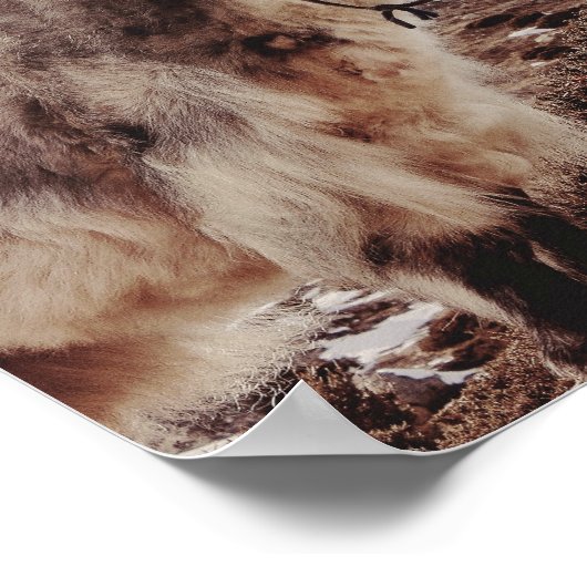 Yakety Yak Poster (Ecke)