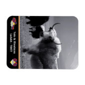 Yaks - Der Himalaya - Tibet / Ladakh Trekking Magnet (Horizontal)