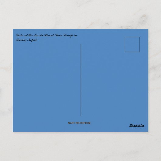 Yaks in Nepal Postkarte (Rückseite)