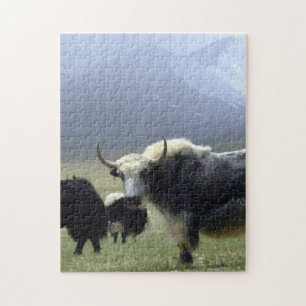 Yaks, Nomaden aus dem Himalaya - Tibet/Ladakh Puzzle