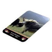 Yaks, Nomaden im Himalaya - Tibet /Ladakh Magnet (Linke Seite)