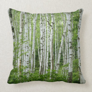 Yakumo-Mur, Präfektur Nagano, zentraler Honshu Kissen