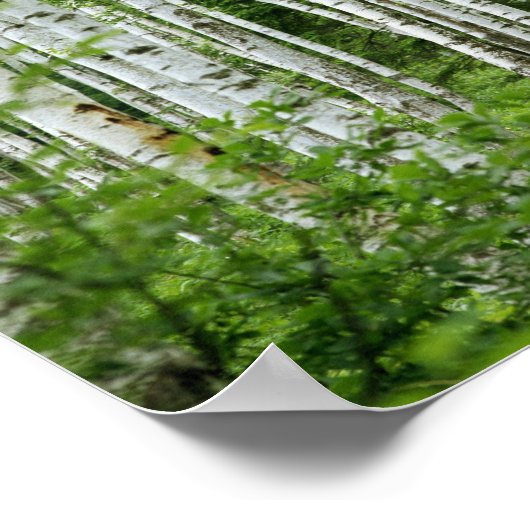 Yakumo-mura, Präfektur Nagano, Zentralhonshu Poster (Ecke)