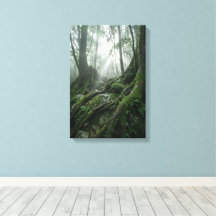 Yakushima 'Atem des Lebens' | Uralte Biophilie