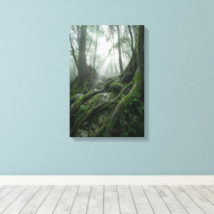 Yakushima 'Atem des Lebens'   Uralte Biophilie Leinwanddruck