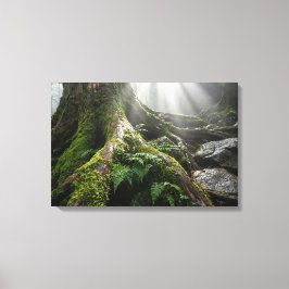 Yakushima-Mooswald 'Atem des Lebens' | Biophil Leinwanddruck