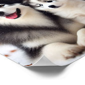 Yakutian Laika Hundemutter und ihr Welpe Poster (Ecke)