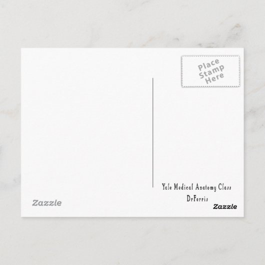 Yale Medical Anatomy Class Postcard Postkarte (Rückseite)
