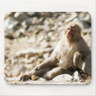 Yamanouchi, Chubu, Präfektur Nagano, Japan 2 Mousepad