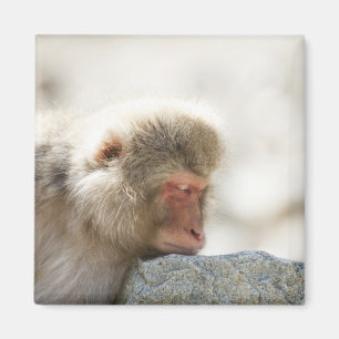 Yamanouchi, Chubu, Präfektur Nagano, Japan Magnet
