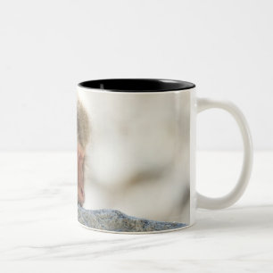 Yamanouchi, Chubu, Präfektur Nagano, Japan Zweifarbige Tasse