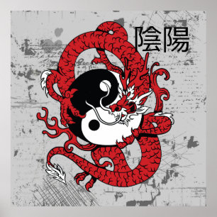 Yang-Chinesisches Symbol und Drache Poster