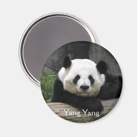Yang Yang Panda Magnet (Vorderseite/Rückseite)