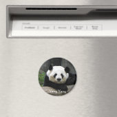 Yang Yang Panda Magnet (In Situ (Geschirrspüler))