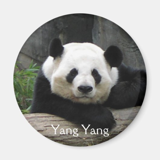 Yang Yang Panda Magnet (Vorne)