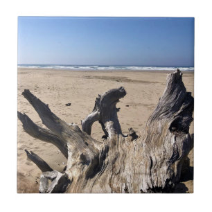 Yaquina Bay Staat Recreation Site, Newport, Oregon Fliese