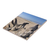 Yaquina Bay Staat Recreation Site, Newport, Oregon Fliese (Seite)