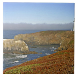 Yaquina Head Lighthouse in Newport Oregon Fliese