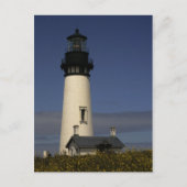 Yaquina Head Lighthouse - NEU Postkarte (Vorderseite)