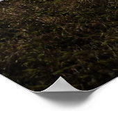 Yaquina Lighthouse Blue Poster (Ecke)