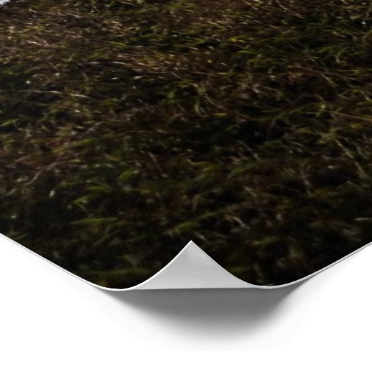 Yaquina Lighthouse Blue Poster (Ecke)