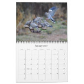 Yard Birds Bird Watcher Calendar Kalender (Jan 2027)