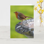 Yard-Chef-Gruß-Karte Karte (Gelbe Blume)