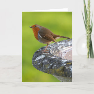 Yard-Chef-Gruß-Karte Karte