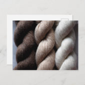 Yarn Brown Beige Cream Colored Alpaca Postkarte (Vorne/Hinten)
