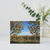 Yarra Valley Vineyard, Melbourne, Australien Postkarte (Stehend Vorderseite)