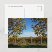 Yarra Valley Vineyard, Melbourne, Australien Postkarte (Vorne/Hinten)