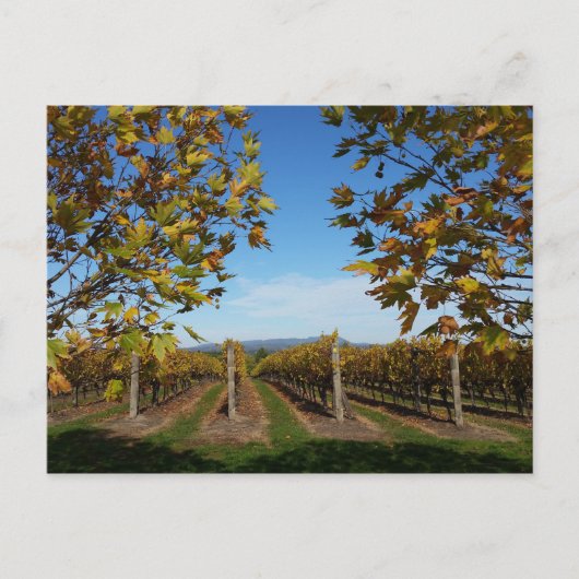Yarra Valley Vineyard, Melbourne, Australien Postkarte (Vorderseite)